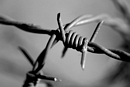 Barbed Wire