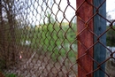 Rusty Fence