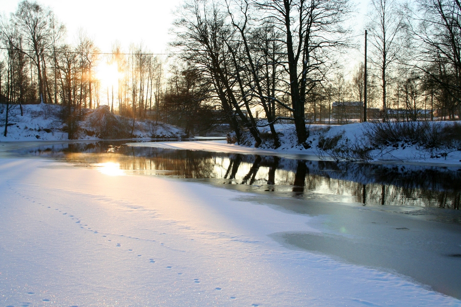 A Frosty Day