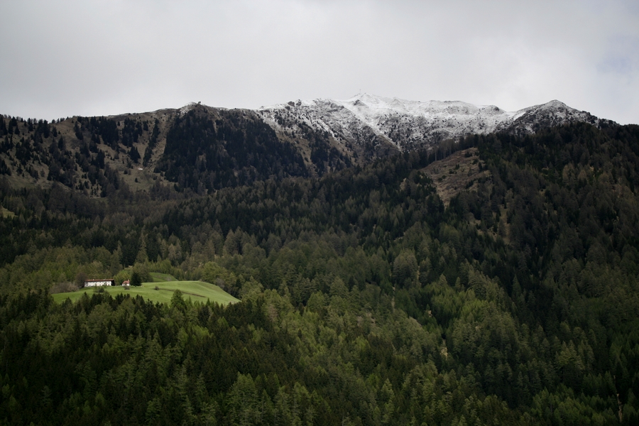 Austrian Alps I