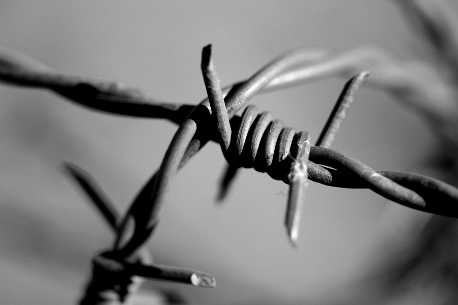 Barbed Wire